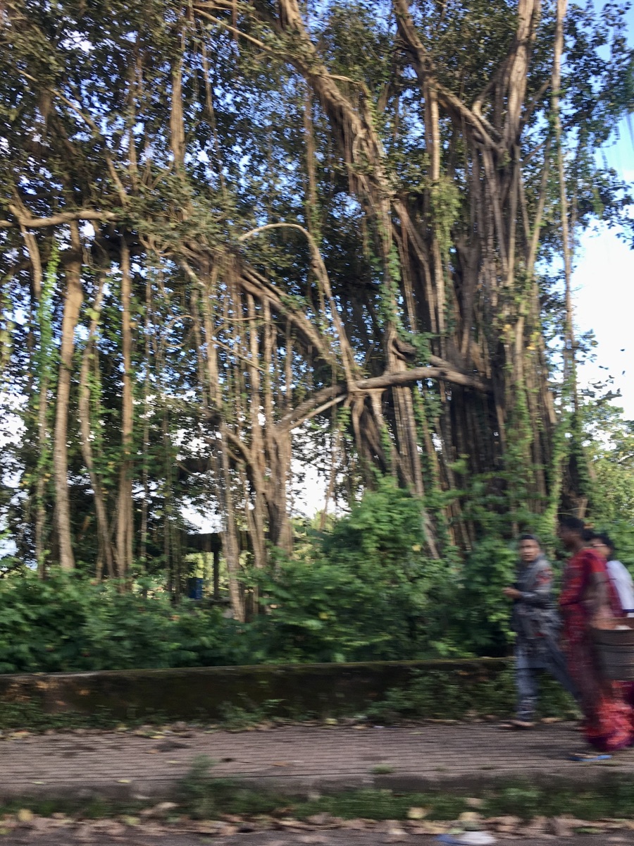 Goa travel scene