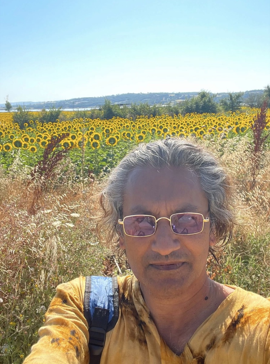 Erikli sunflower field panorama