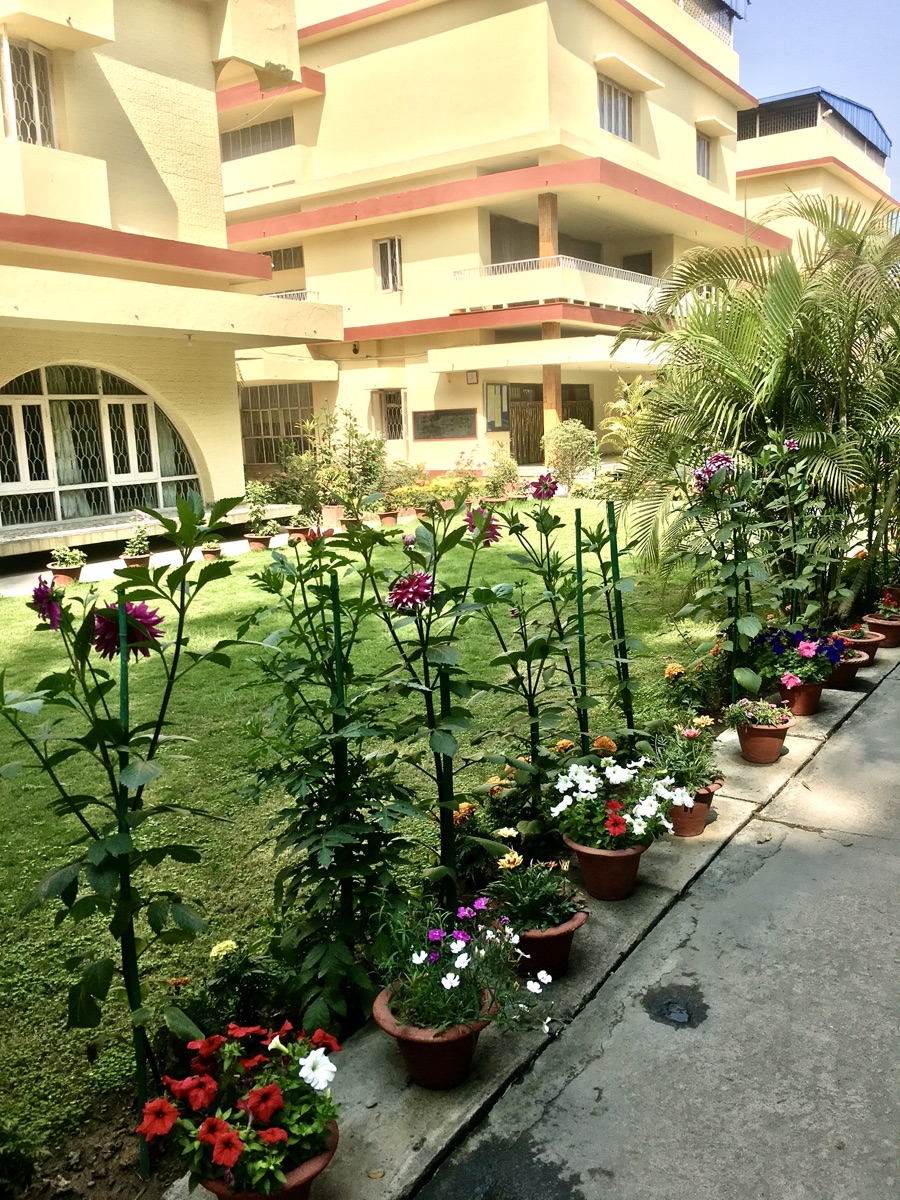 Gaya flower garden