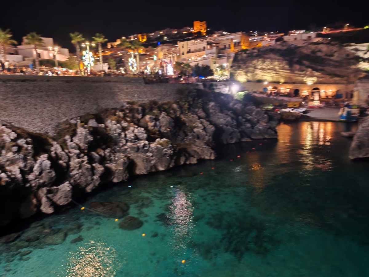Castro cove night